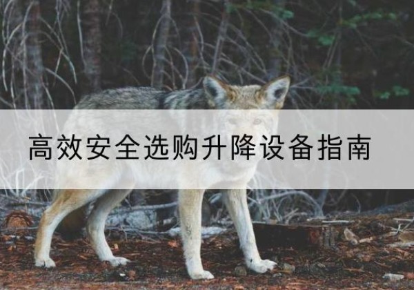 通州升降货梯厂家推荐-*安全选购升降设备指南