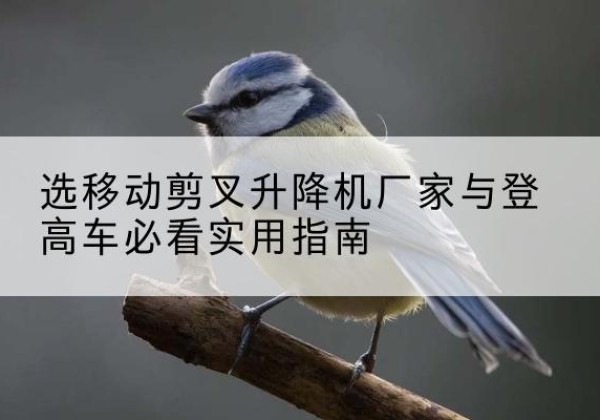 通州电动升降机厂家-选移动剪叉升降机厂家与登高车必看实用指南