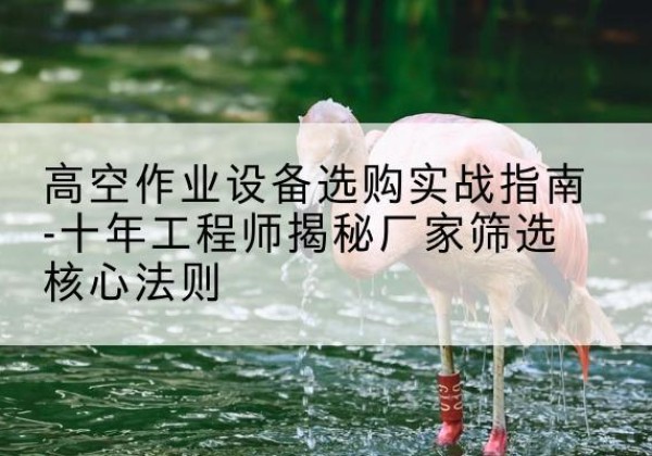 通州剪叉式升降机厂家-高空作业设备选购实战指南-十年工程师揭秘厂家筛选核心法则